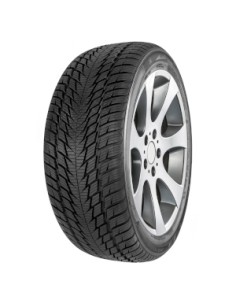 Pneumatico 275/40 R 20 106W FORTUNA WI Winter