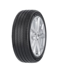 Pneumatico 205/55 R 17 95W MICHELIN ZO Summer